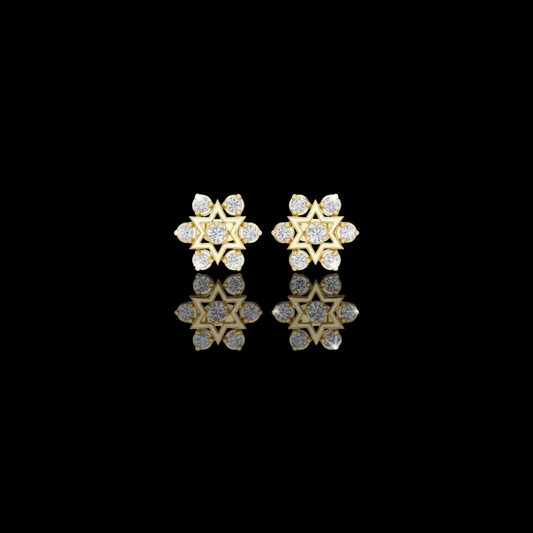 Cluster Round Lab Diamond Star Motif Studs Earring
