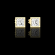 Princess Cut Lab Diamond Square Solitaire Stud Earrings with Bezel
